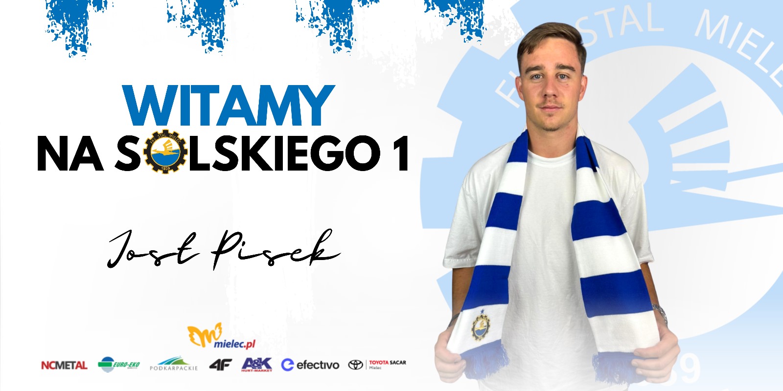 Jost Pisek